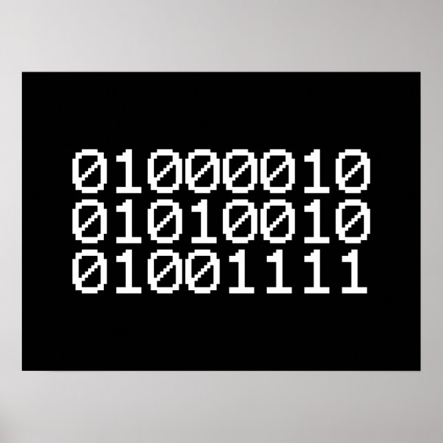 AFFICHES BRO BINAIRE (Devant)