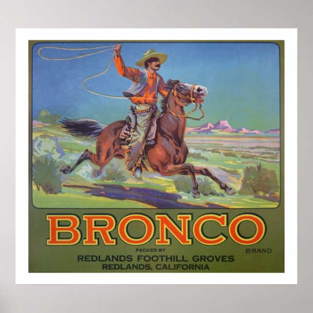 Affiches 'Bronco Oranges', c.1900 (litho couleur) (Devant)