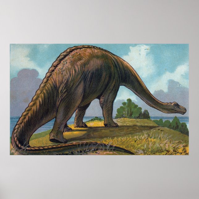 Affiches Brontosaurus Dinosaur (Devant)