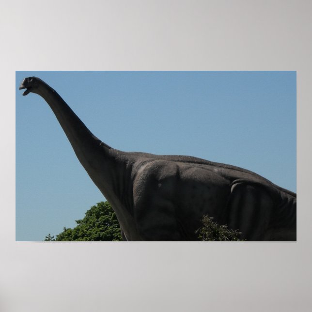 Affiches Brontosaurus dinosaure (Devant)