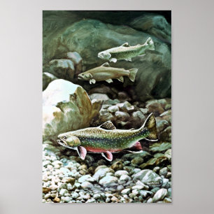 Affiches Brook Trout