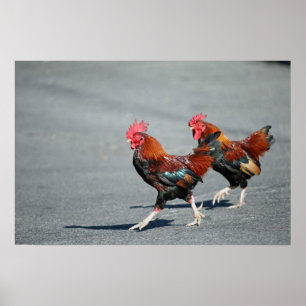 Affiches "Bros sur une balade "