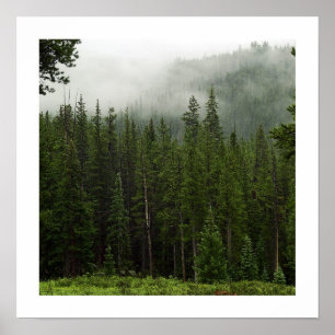Affiches Brouillard