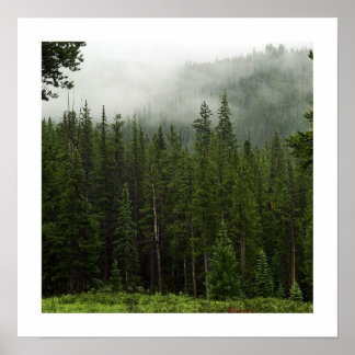 Affiches brouillard
