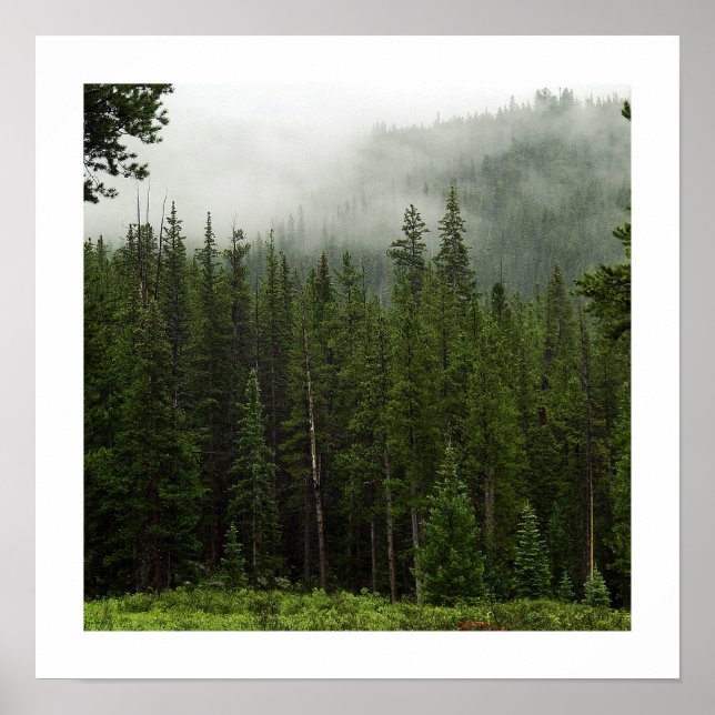 Affiches brouillard (Devant)