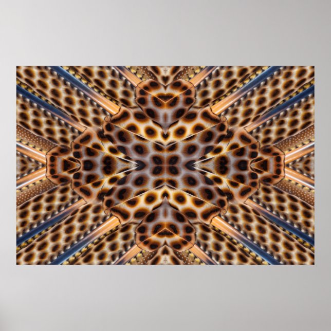 Affiches Brown pheasant feather kaleidoscope (Devant)