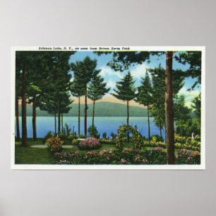Affiches Brown Swan Park Vue sur le lac