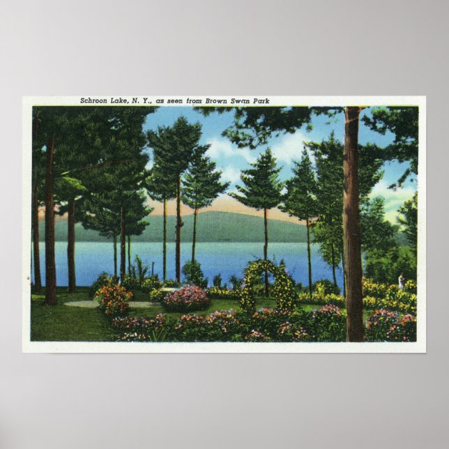 Affiches Brown Swan Park Vue sur le lac (Devant)