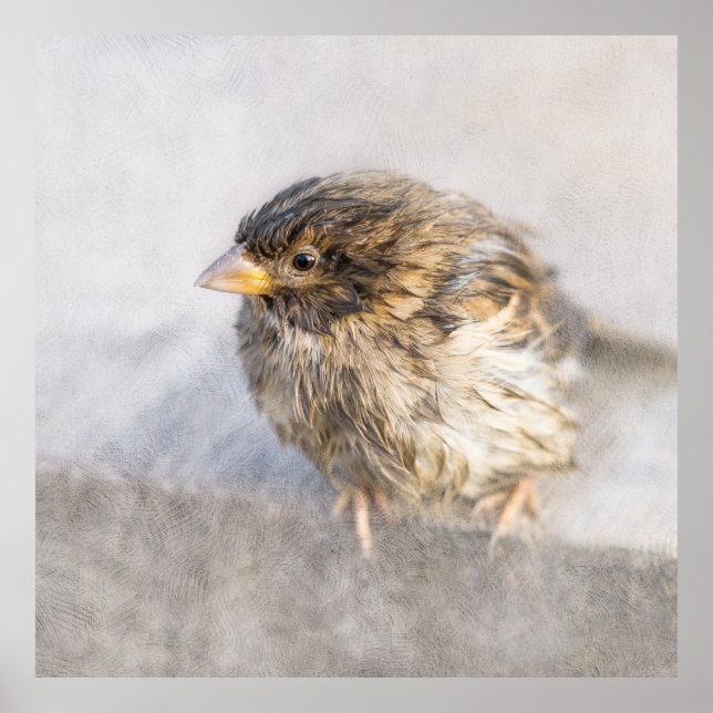 Affiches Bruant - Météo Prévision Épique Échec (Devant)