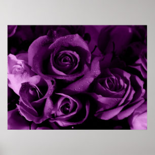 Affiches Brume pourpre