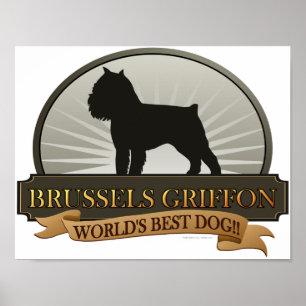 Affiches Bruxelles Griffon