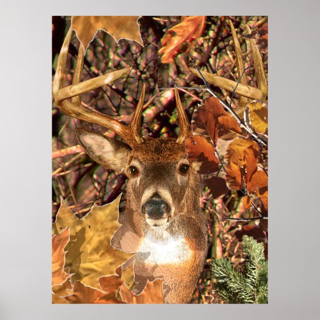 Affiches Buck in Fall Camo White Tail Deer (Devant)