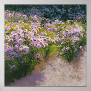 Affiches Buckhorn Aster Show