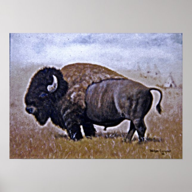 Affiches Buffalo (Devant)