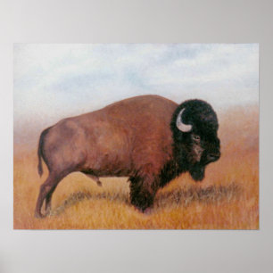 Affiches Buffalo
