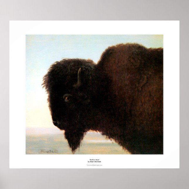 Affiches Buffalo Head Art Albert Bierstadt peinture de biso (Devant)