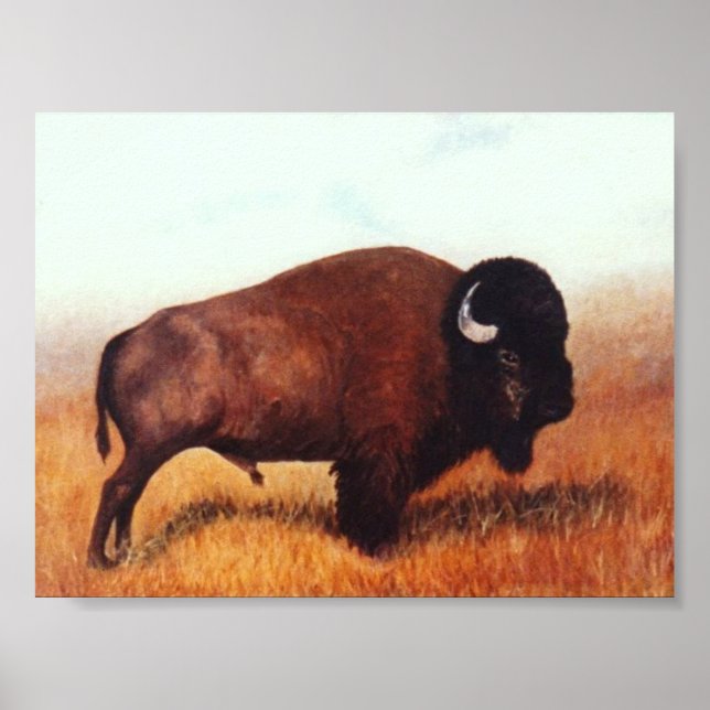 Affiches Buffle III (Devant)