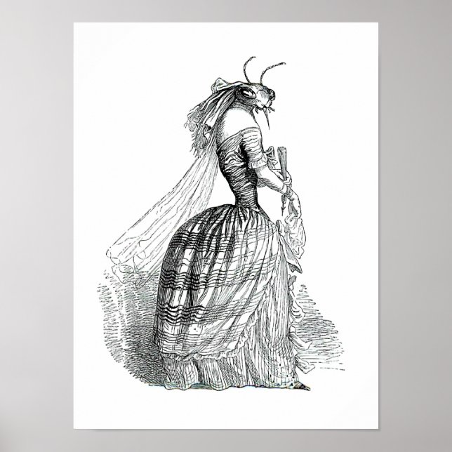 Affiches Bug Busten (Devant)