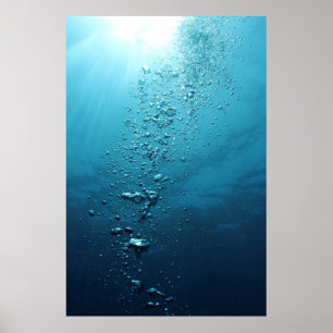 Affiches Bulles