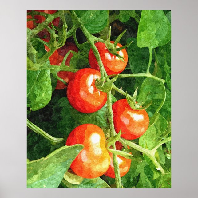 Affiches Bunch de tomates (Devant)
