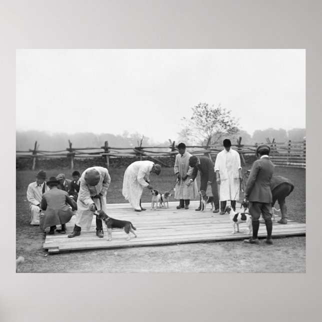 Affiches Bunch of Beagle, 1914 (Devant)