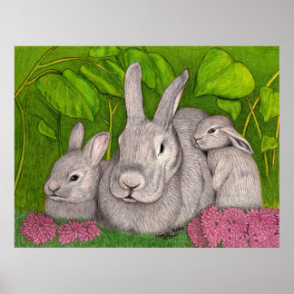 Affiches Bunnies