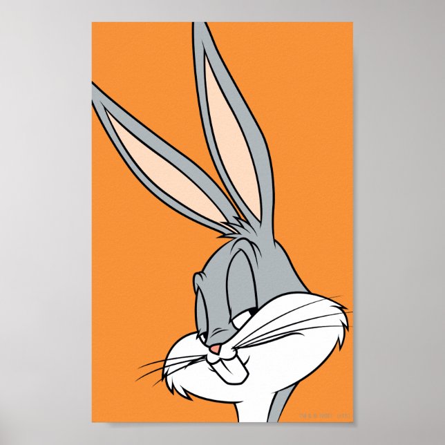 Affiches BUNNY™ BUNNY Sideways (Devant)