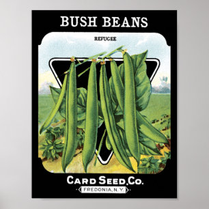 Affiches Bush Beans Card Seed Co. paquet Vintage Fredonia