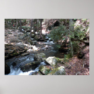 Affiches Bushkill River in the Poconos. imprimer 0086
