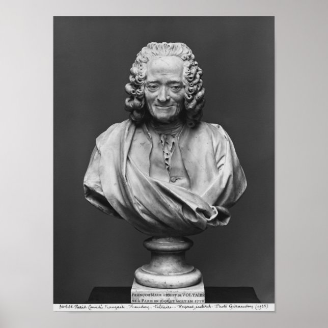 Affiches Bust of Voltaire (Devant)