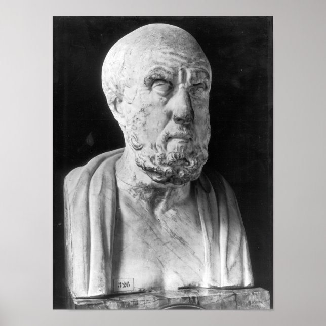 Affiches Buste des Hippocrates (Devant)