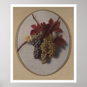 Affiches Butin des raisins (1363)