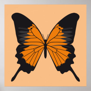 Affiches butterfly1