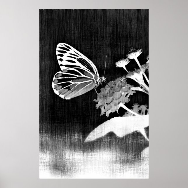 Affiches Butterfly Art | Black and White (Devant)