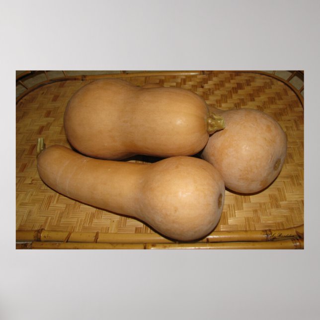 Affiches Butternut Squash (Devant)