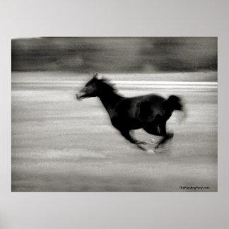 Affiches BW Galloping Horse