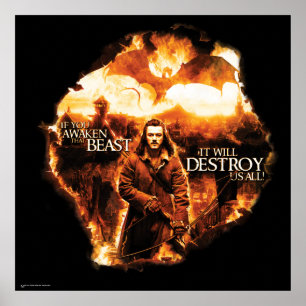 Affiches Ça Nous Détruira Tous !