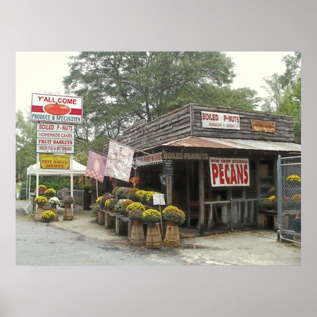 Affiches cacahuètes bouillies VOUS VENEZ (Devant)