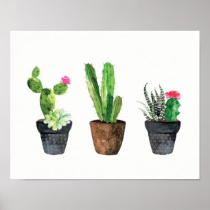 Affiches Cactus et trio Succulent deux