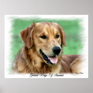 Affiches Cadeaux d'art Golden Retriever