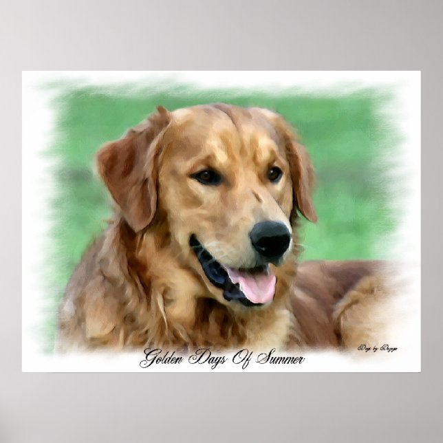 Affiches Cadeaux d'art Golden Retriever (Devant)
