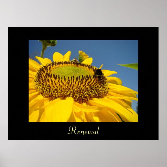 Affiches Cadeaux d'impression d'art de renouvellement Toile (Devant)