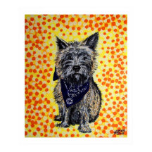 Cairn Terrier