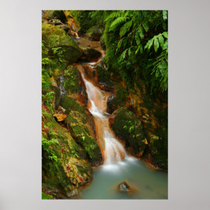 Affiches Caldeira Velha, Açores