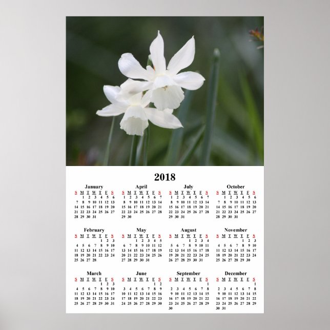 Affiches Calendrier 2018 Daffodils blancs Photographie (Devant)