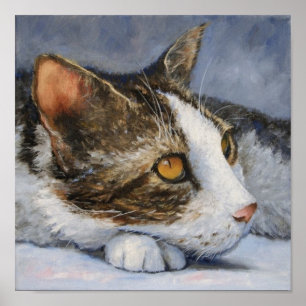Affiches Calico Cat with Yellow Eyes Portrait 