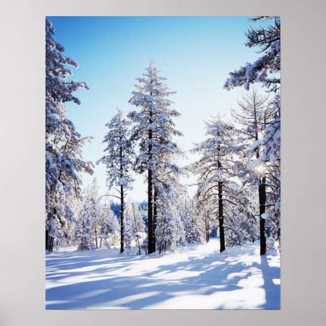 Affiches California, Cleveland National Forest, Laguna 2 (Devant)