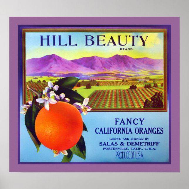 Affiches California Oranges Fruit Publicité Imprimer (Devant)