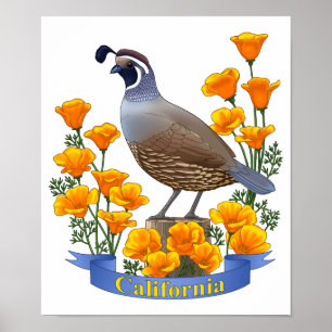 Affiches California State Bird Quail & Golden Poppy