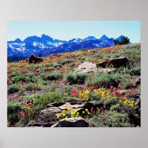 Affiches Californie, Montagnes de la Sierra Nevada 1